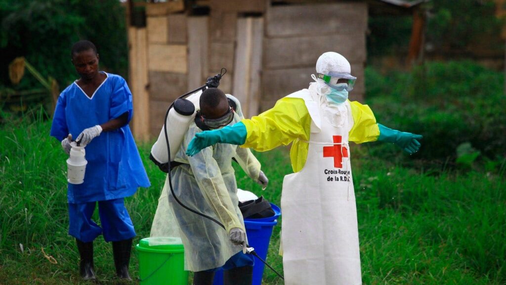 WHO declares Ebola outbreak in Central Africa a public health emergency after 80 suspected deaths WHO declares Ebola outbreak in Central Africa a public health emergency after 80 suspected deaths