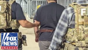 ‘UNPRECEDENTED LEVEL’: Former DHS advisor warns of terror threats in US ‘UNPRECEDENTED LEVEL’: Former DHS advisor warns of terror threats in US