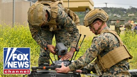 The government’s ‘integrated approach’ is aiding drone strategy, expert explains The government’s ‘integrated approach’ is aiding drone strategy, expert explains