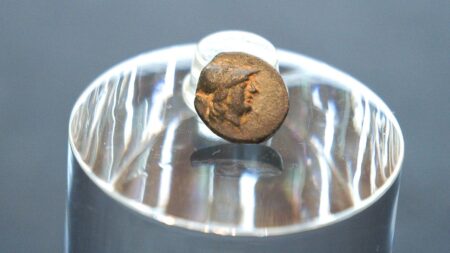 Teen stumbles on mysterious coin from legendary city, puzzling archaeologists over its journey