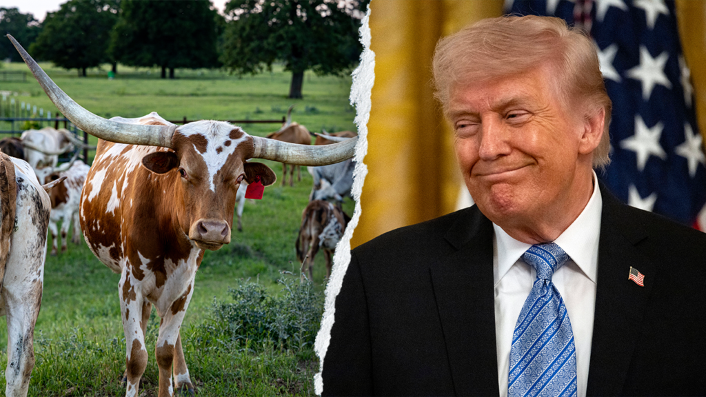 Trump roasts Dem candidate as unelectable for cardinal sin in Texas