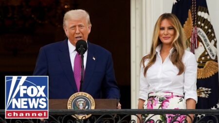 WATCH: President Trump delivers remarks at Congressional Picnic on South Lawn