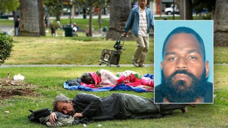Employee of needle-distributing nonprofit allegedly caught selling fentanyl near LA park Employee of needle-distributing nonprofit allegedly caught selling fentanyl near LA park