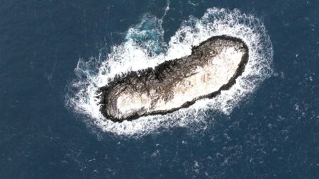 Explorers discover unknown Antarctic island long marked as ‘danger zone’ on maps