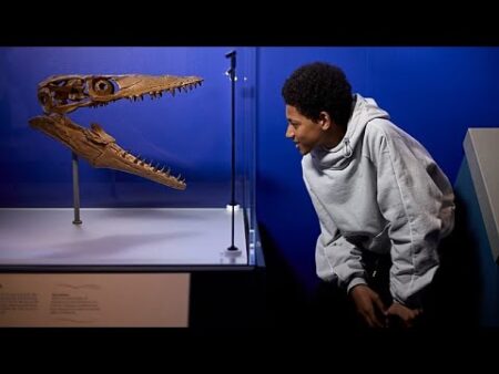 Danger in the deep: Prehistoric predators emerge at London’s Natural History Museum