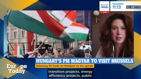 Kata Tüttő, on unfreezing EU funds for Hungary: “We are suffering” Kata Tüttő, on unfreezing EU funds for Hungary: “We are suffering”