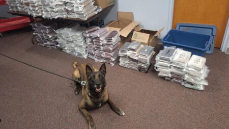 Nebraska K9 sniffs out 525 pounds of cocaine during routine traffic stop, leading to California man’s arrest