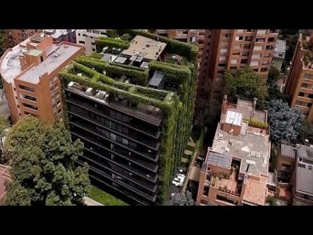 Vertical gardens are a practical – and beautiful – way to cool down cities Vertical gardens are a practical – and beautiful – way to cool down cities