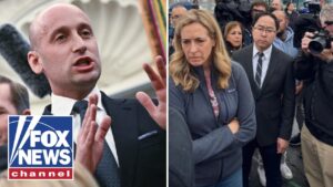 ‘PRO-CRIMINAL DEMOCRATS’: Anti-ICE protests face backlash