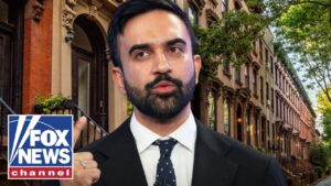 This will WEAPONIZE the building department in New York, councilwoman says