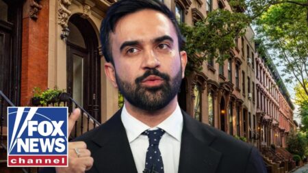 This will WEAPONIZE the building department in New York, councilwoman says