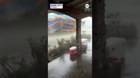 Bouncy house goes flying through Florida backyard