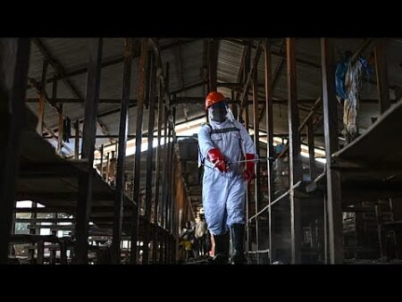 Uganda shuts border with DR Congo as cases of rare Ebola type surge