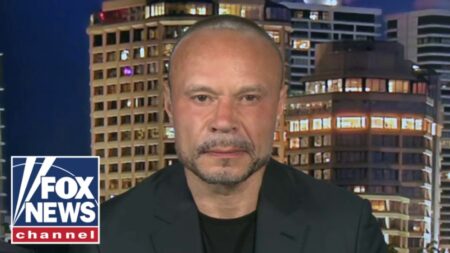 Dan Bongino: They have the impulses of a deer tick…