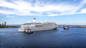 Cruise ship battles rough Pacific seas to save injured, stranded sailor