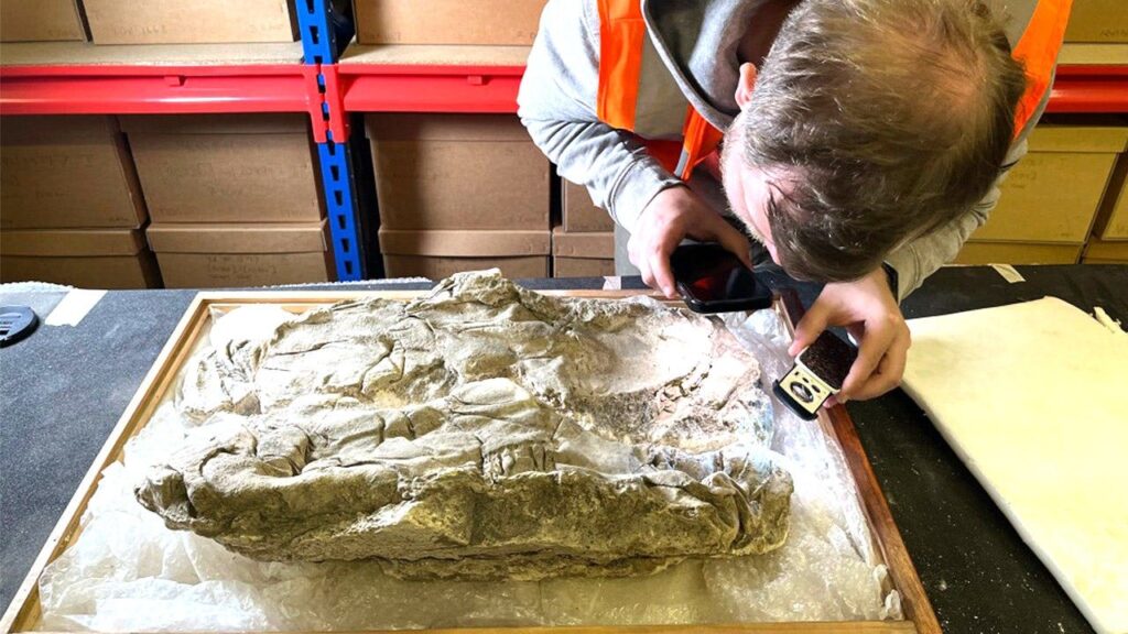 Traces of rare purple dye mentioned in Bible passages found in ‘remarkable’ discovery Traces of rare purple dye mentioned in Bible passages found in ‘remarkable’ discovery