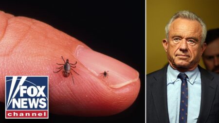 HHS SOUNDS ALARM as Lyme disease cases SURGE nationwide