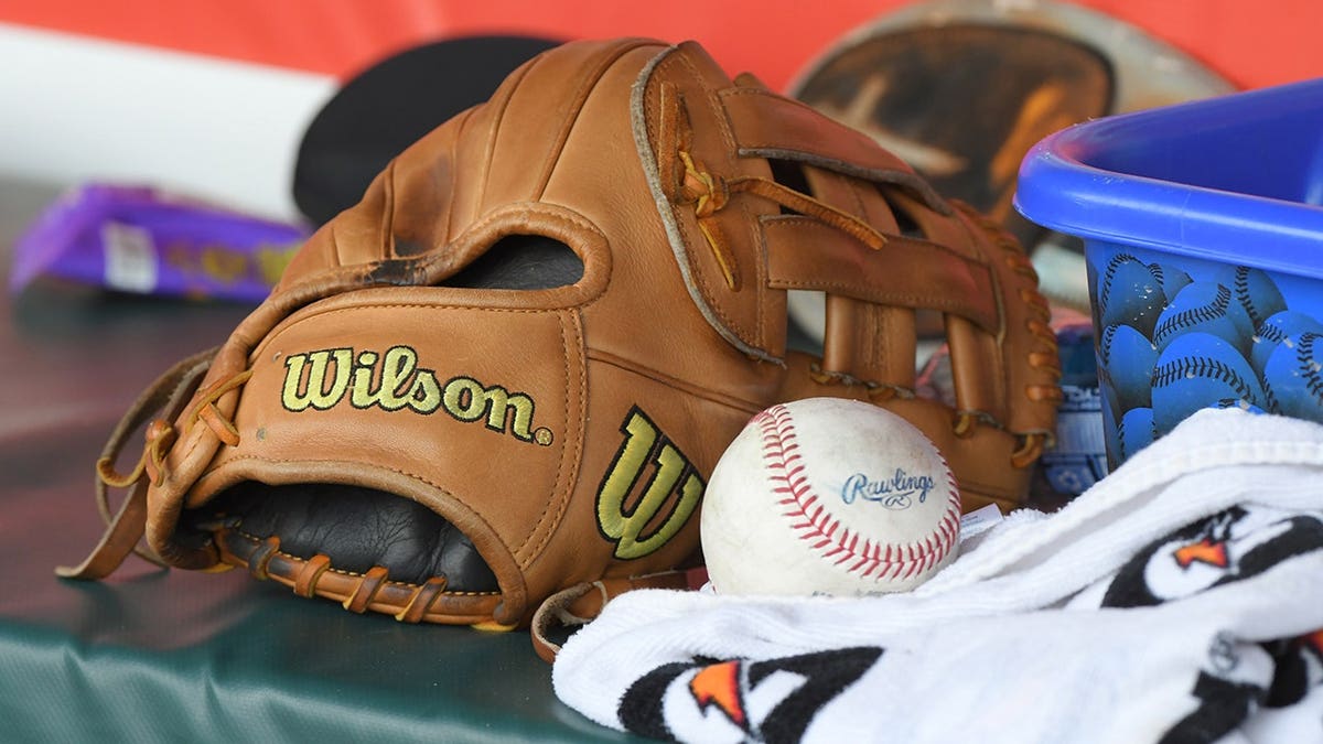 Baseballs in a bag on the field.