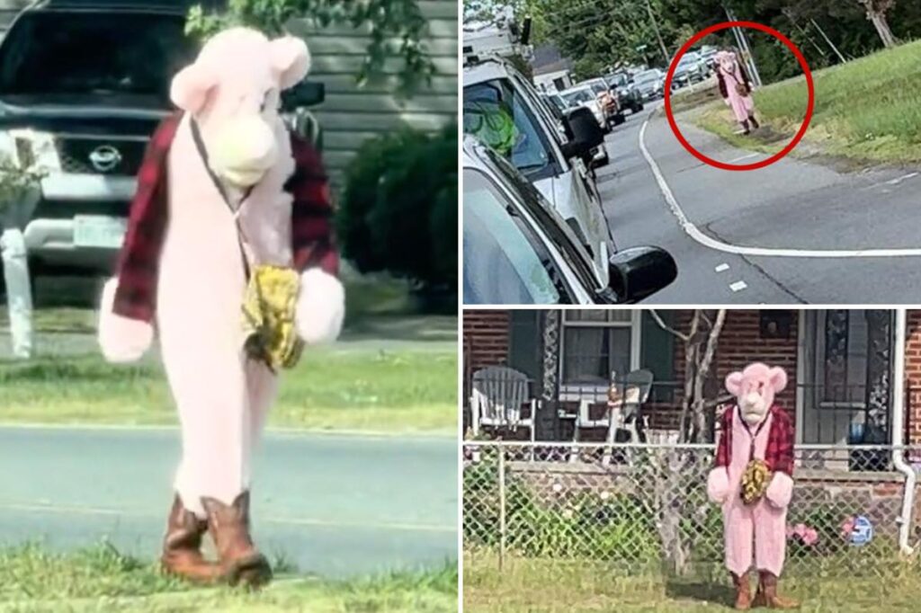 Sicko in Pink Panther-like costume allegedly hunts down local school kids in Virginia — nearly abducts little girl