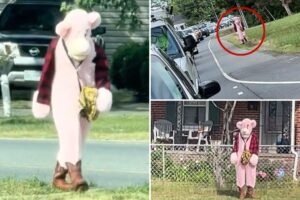 Sicko in Pink Panther-like costume allegedly hunts down local school kids in Virginia — nearly abducts little girl