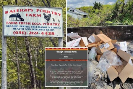 Exclusive | LI farm may be peddling Perdue as ‘fresh’ and ‘locally sourced’ chicken — at steep markup: Post investigation