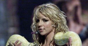 Britney Spears Says She Is on ‘Spiritual Journey’ Following DUI Plea Deal, Posts Photo of a Snake
