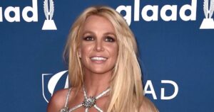 Britney Spears Invited Police Over for Lasagna, Offered Use of Her Pool During DUI Arrest