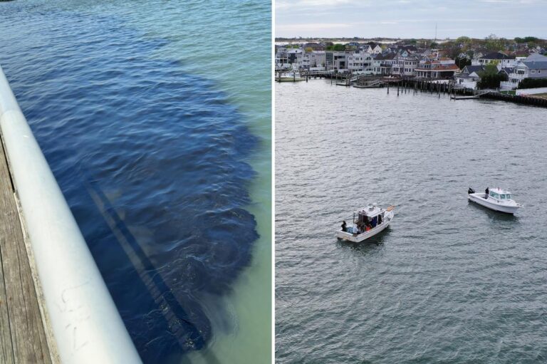 30K gallons of nasty sewage waste accidentally unloaded in Long Island waterway 30K gallons of nasty sewage waste accidentally unloaded in Long Island waterway