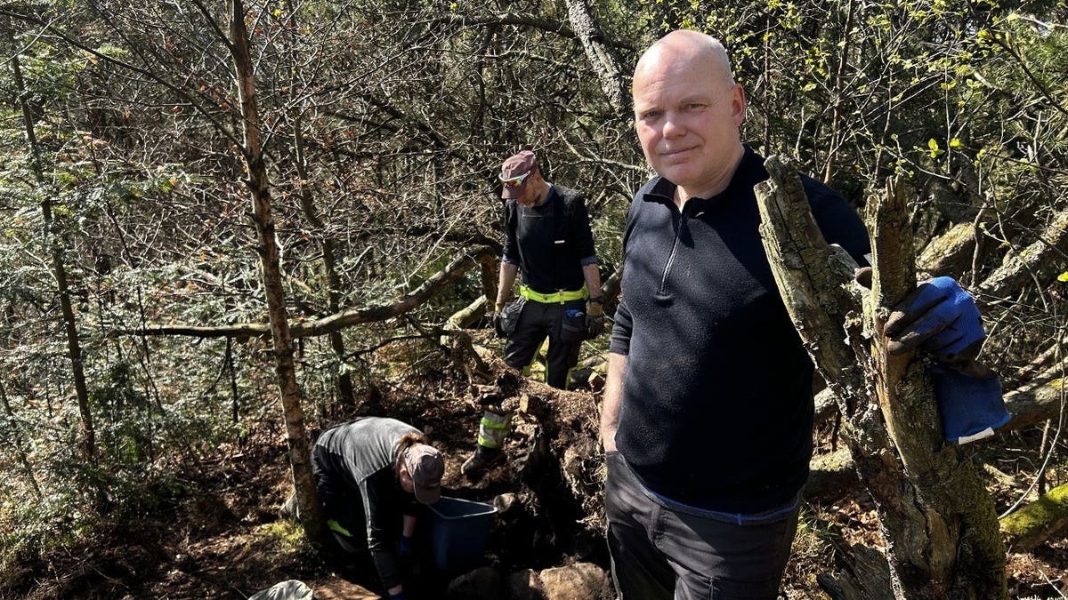 Image of archaeologists excavating forest site