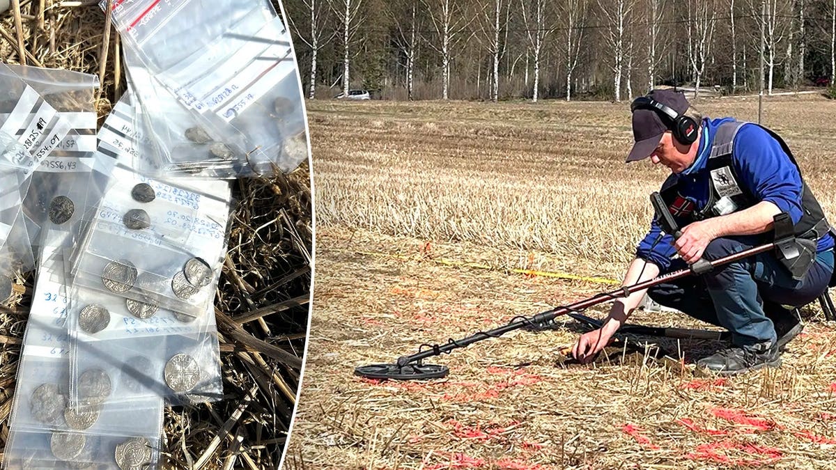 Split image of coins in bags, metal detectorist working at site