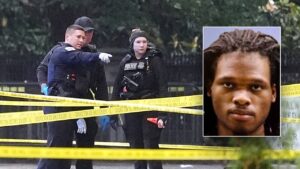 White House gunman had criminal record, history of mental health issues White House gunman had criminal record, history of mental health issues