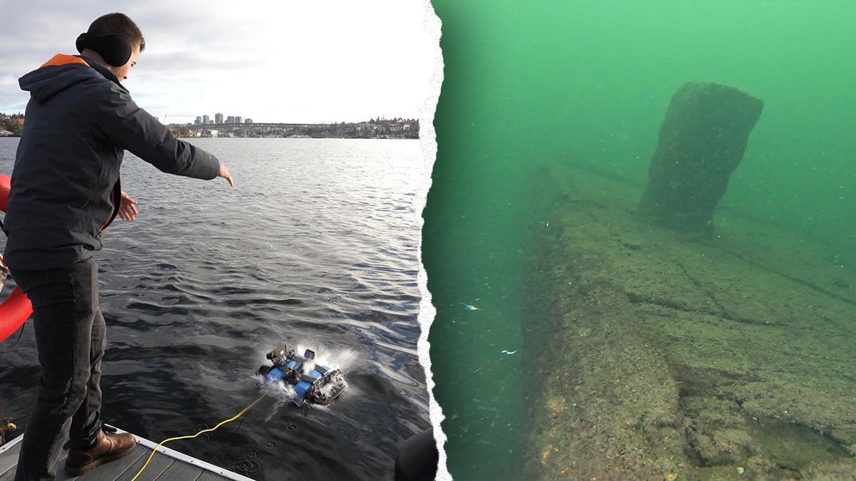 Split image of diver, underwater wreck in Seattle