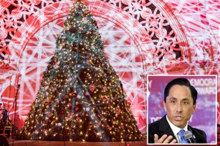 Outrage as San Diego prepares to kill historic Christmas tradition amid staggering budget cuts