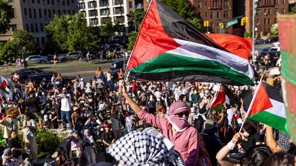 Pro-Palestinian protestors trying to enter the Brooklyn Museum in New York City