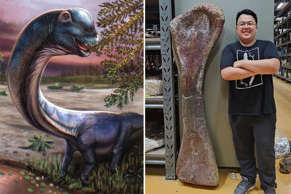 Scientists discover Southeast Asia’s largest dinosaur in Thailand