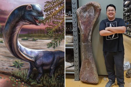 Scientists discover Southeast Asia’s largest dinosaur in Thailand