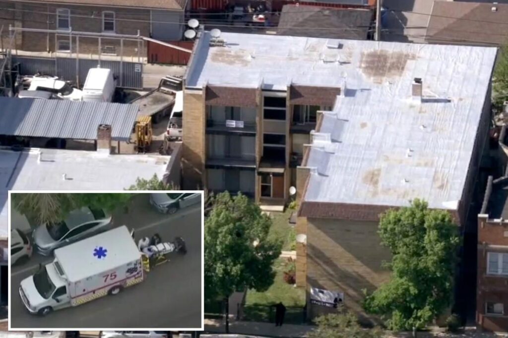 Chicago woman stabs infant girl to death with knife before jumping out window: cops