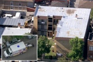 Chicago woman stabs infant girl to death with knife before jumping out window: cops