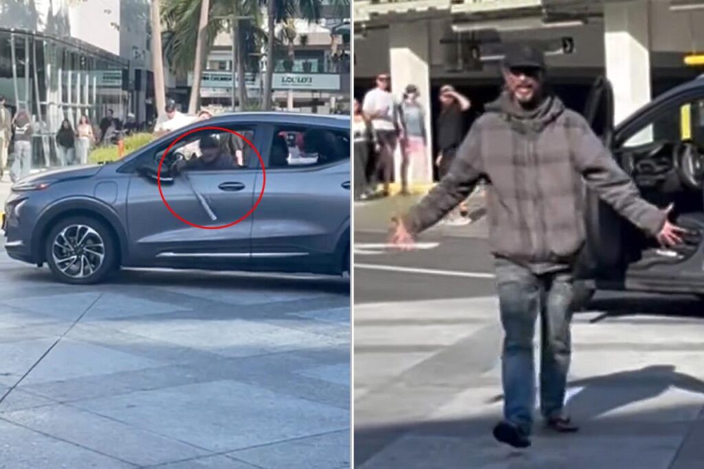 Bat-wielding driver with dog terrorizes shoppers in Santa Monica as city struggles to control crime crisis Bat-wielding driver with dog terrorizes shoppers in Santa Monica as city struggles to control crime crisis