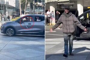 Bat-wielding driver with dog terrorizes shoppers in Santa Monica as city struggles to control crime crisis Bat-wielding driver with dog terrorizes shoppers in Santa Monica as city struggles to control crime crisis