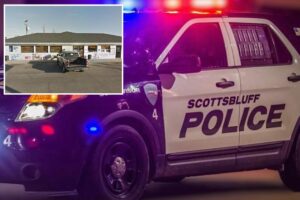 Dog fires off multiple gunshots, hits driver near Nebraska gas station: cops Dog fires off multiple gunshots, hits driver near Nebraska gas station: cops