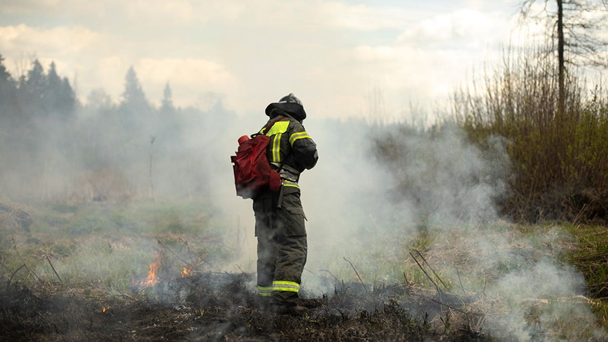 Firefighter extinguishing fire in wooded area with smoke visible