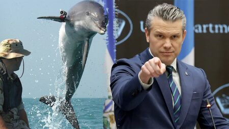 Hegseth shoots down Iran ‘kamikaze dolphins’ — leaves US question open