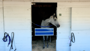 The surprising cost of renting a horse stall at Churchill Downs during the Kentucky Derby
