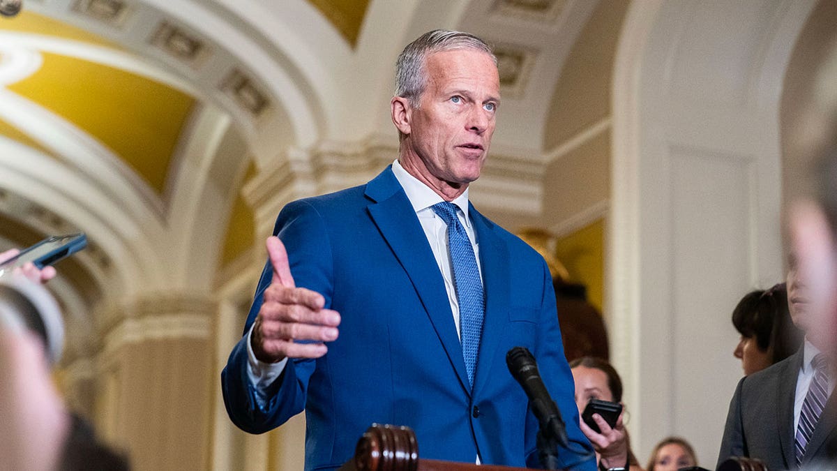 Senate Majority Leader John Thune, R-S.D.