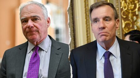 Warner calls Virginia court ruling ‘outrageous’ as Kaine urges Democrats to ‘go win’