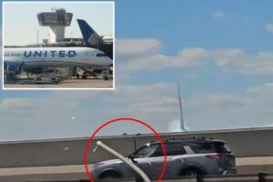 United plane strikes light pole, tractor-trailer on NJ Turnpike while landing at Newark Airport: officials