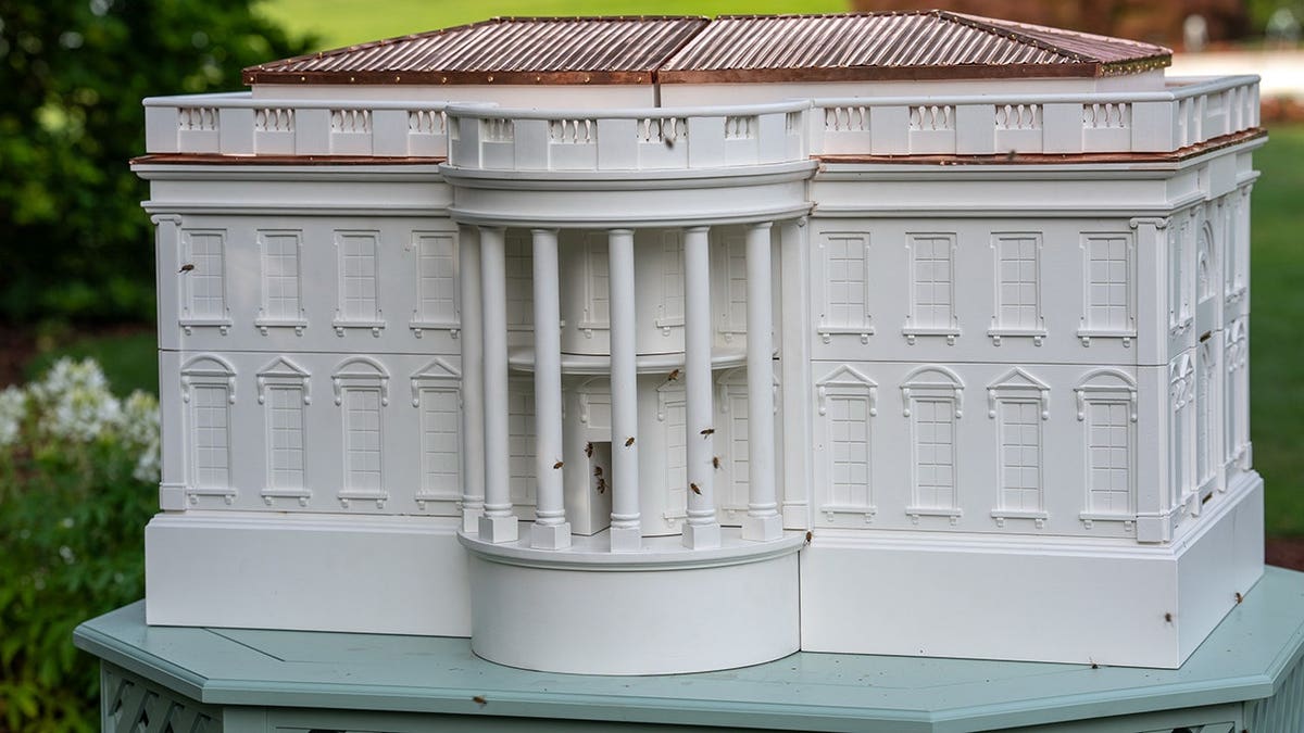First Lady Melania Trump unveiling a new beehive on the White House South Lawn