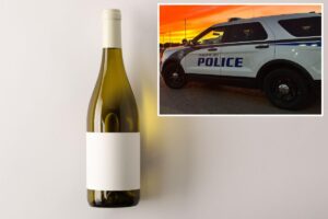Michigan shoplifter rushed to hospital after hiding bottle of wine in her ‘body cavity’