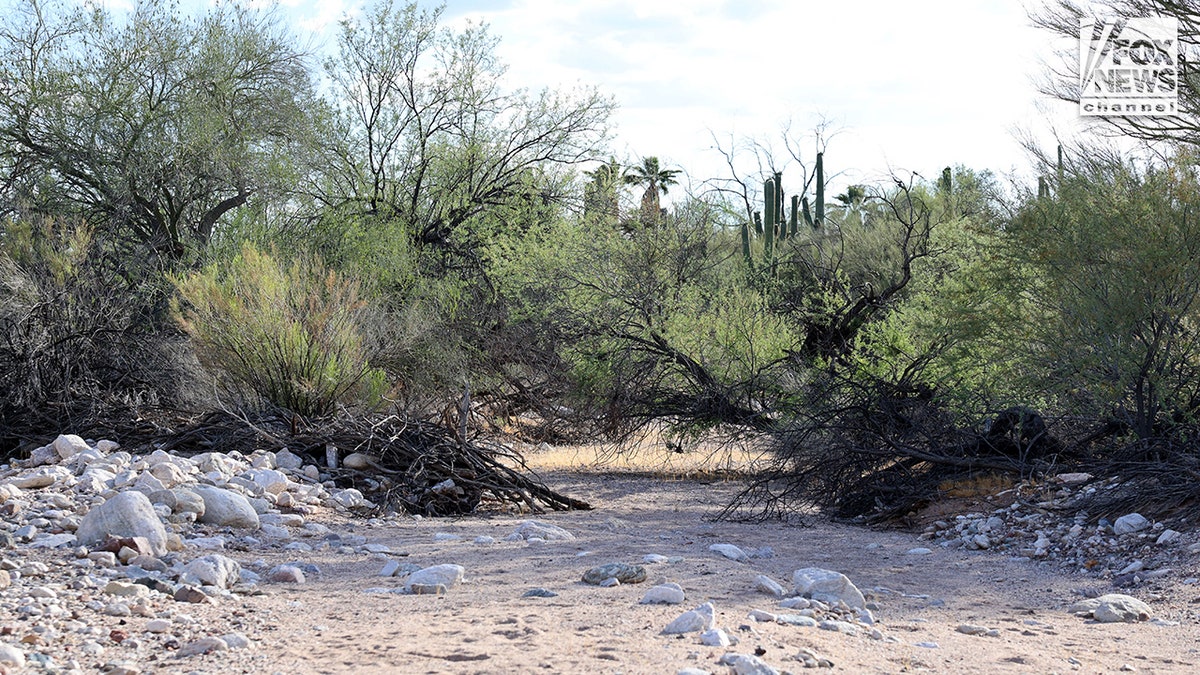 Bob Krygier searching a wash near Nancy Guthrie's home in Tucson, Ariz.